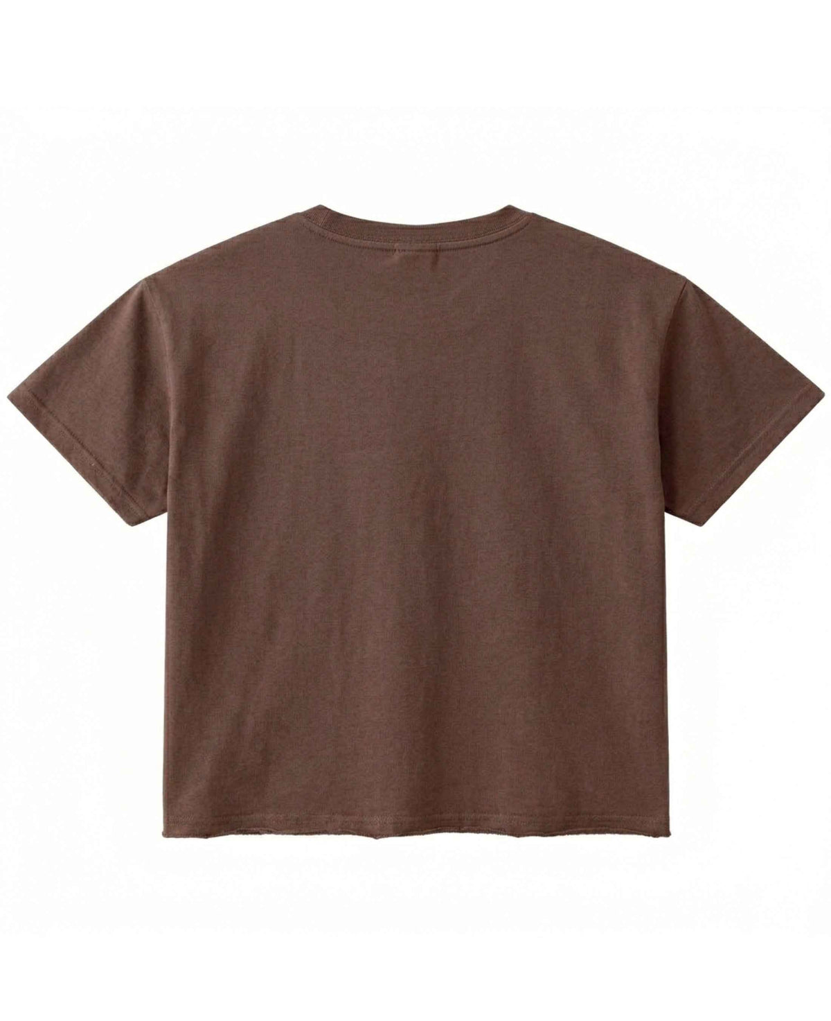 Brown Boxy Fit T-shirt